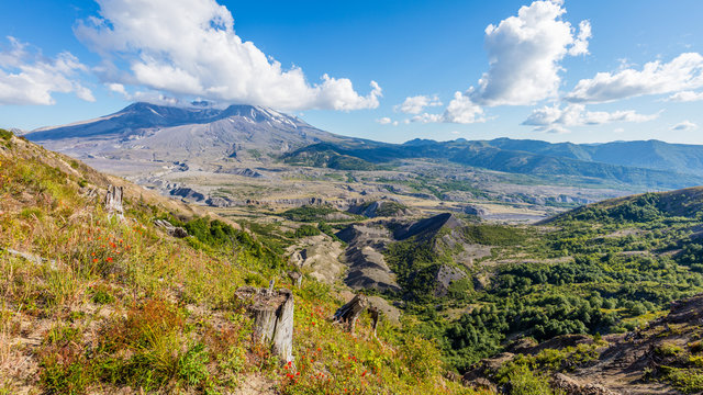 Amazing views of the volcano. White clouds are hovering over the large crater. Loowit Viewpoint, Mount St Helens National Park, West Part, South Cascades in Washington State, USA