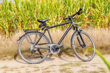 Fototapeta na wymiar Fahrrad steht an einem Maisfeld