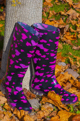 Rain Boots