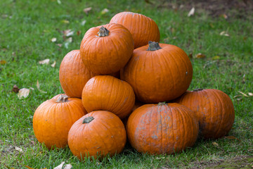 Orange pumpkins for Halloween Party