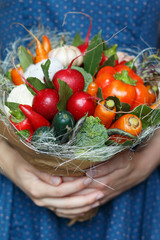 Big unusual bouquet of fresh edible vegetables (garlic, carrots, green beans, cucumber, radish, bay leaf, pepper, chili pepper, cauliflower, cotton) in the hands of young woman in the blue dress
