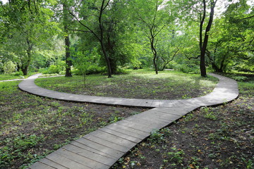 Path for pedestrians in the park