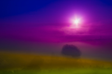 color abstraction