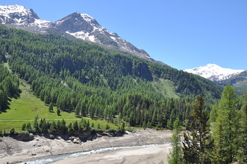 Martelltal in Südtirol