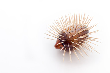Obraz premium Toothpick Holder