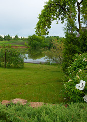 Lawn near the lake