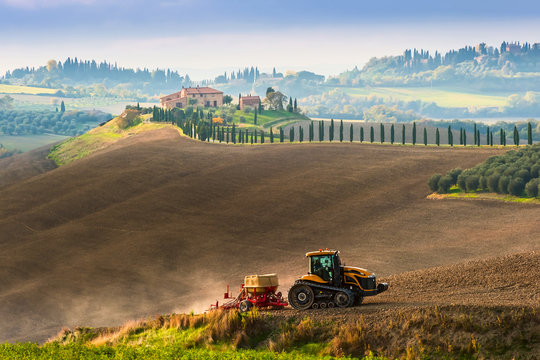 Rural Landscape with Tractor