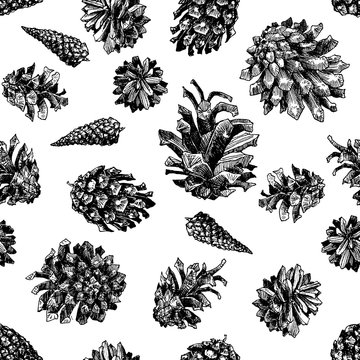 Pattern with drawn pine cones