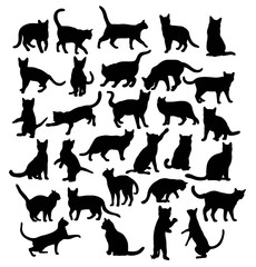 Pet Animal Silhouettes,Cat Collection, art vector design