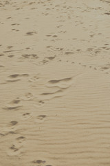 closeup of sand pattern of a beach in the summer