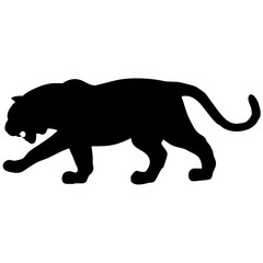 Snarling tiger with huge tusks 