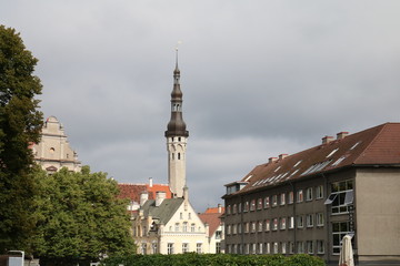 Tallinner Rathaus