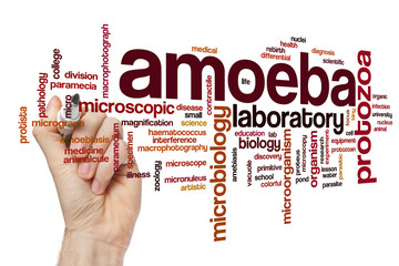 Amoeba word cloud
