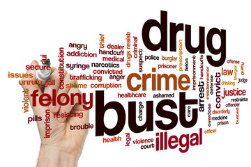 Drug bust word cloud