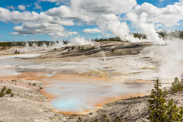 Hot spring pools with blue and orange colors and steam geysers in Yellowstone National Park in Norris Basin