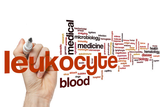 Leukocyte word cloud
