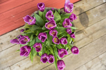 Flat view of purple lilac tulips in rustic flower pot on wood