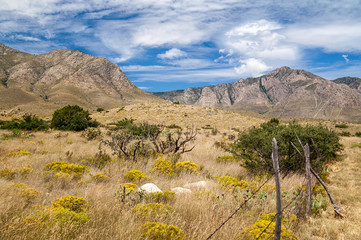 Mountains and Pasture