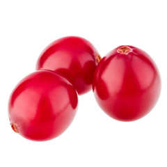cranberry  isolated on white background cutout