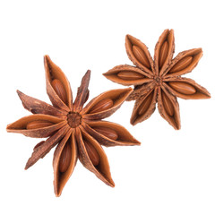 star anise spice isolated on white background closeup