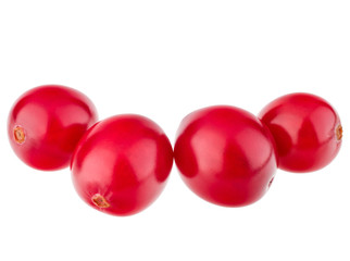cranberry  isolated on white background cutout