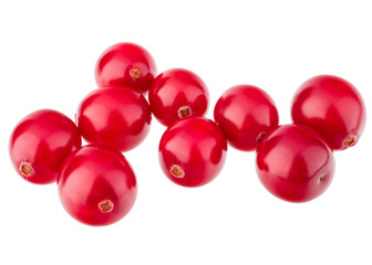 cranberry  isolated on white background cutout