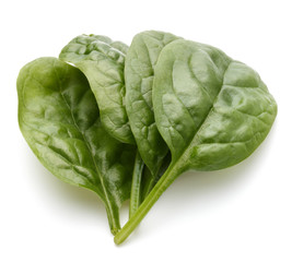 Fototapeta premium Baby spinach leaves isolated on white background cutout