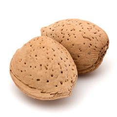 Almond nut in shell isolated on white background close up