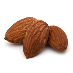 shelled almond nut isolated on white background close up