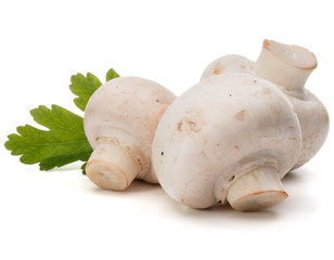 Champignon and parsley herb still life isolated on white backgro