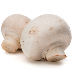Champignon isolated on white background cutout