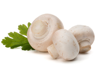 Champignon and parsley herb still life isolated on white backgro