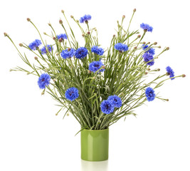Blue Cornflower Herb or bachelor button flower bouquet isolated