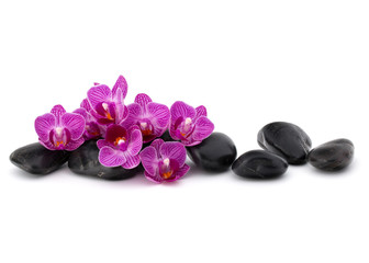 Fototapeta na wymiar Zen pebbles and orchid flower. Stone spa and healthcare concept.