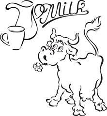  Funny cow with a jug and cup of milk.  Black contour, isolated on white background, cartoon style, on separate layers.