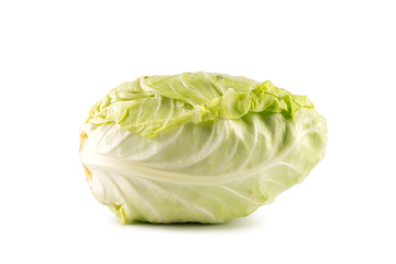 Cabbage on white background