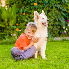 boy embracing White Swiss Shepherd`s puppy on green grass © Ermolaev Alexandr