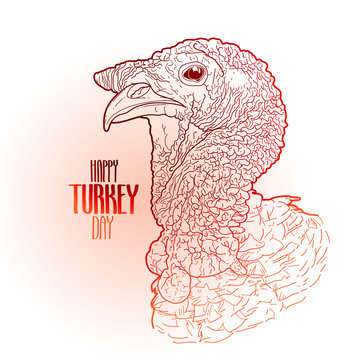 Vector Turkey Head