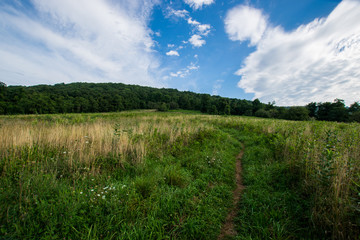 Fototapeta na wymiar Scenic Summer Landscape on Overlook Drive Shenandoah National Pa