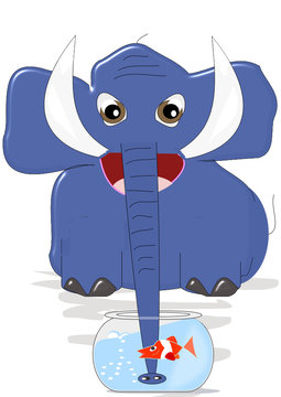 Elefante bebiendo con la trompa de una pecera con un pez dentro.