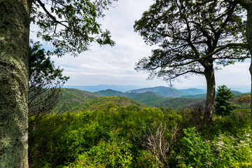 Scenic Summer Landscape on Overlook Drive Shenandoah National Pa