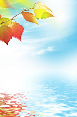 Obraz premium autumn landscape with bright colorful foliage. Indian summer.