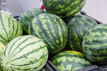 Watermelon on display in bulk at the market