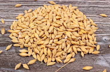 Heap of barley grain on wooden background