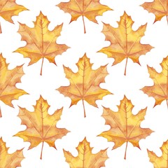 Fototapeta na wymiar Maple leaves. Watercolor painting. Seamless pattern. Background 2