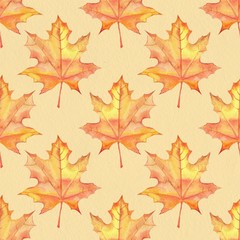 Obraz premium Maple leaves. Watercolor painting. Seamless pattern. Background on paper texture
