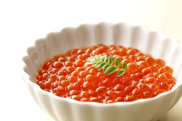 いくらの醤油漬け　Salmon roe