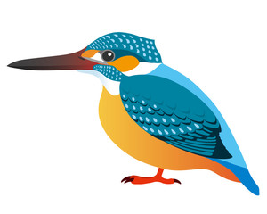 カワセミ (kingfisher)