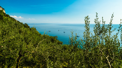 Fototapeta na wymiar summer in the bay of Trieste
