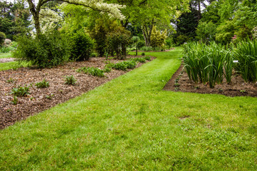 Green lawn and shrubs in a garden